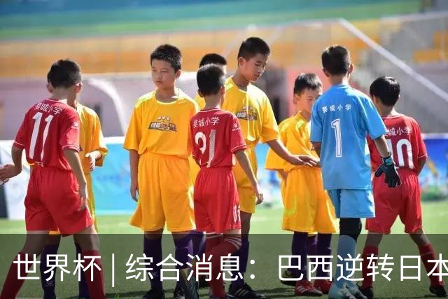 世界杯 | 综合消息：巴西逆转日本 荷兰、德国败走“点球大战”