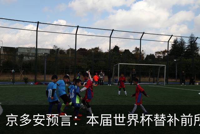 京多安预言：本届世界杯替补前所未有重要，体能管理或决定冠军