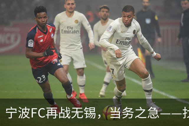 宁波FC再战无锡，当务之急——找到外援托莫维奇的使用说明书