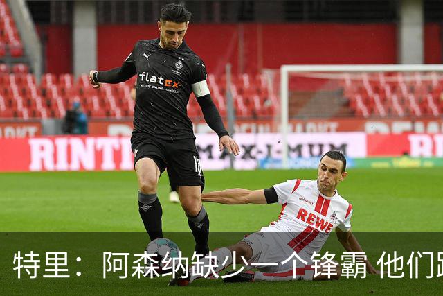 特里：阿森纳缺少一个锋霸 他们距离统治英超只差1、2笔签约