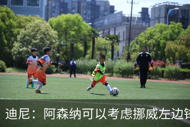 迪尼：阿森纳可以考虑挪威左边锋努萨，他能进球能助攻速度还很快