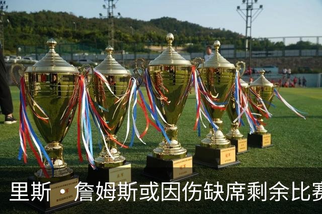里斯·詹姆斯或因伤缺席剩余比赛 宽萨成英格兰右后卫首选